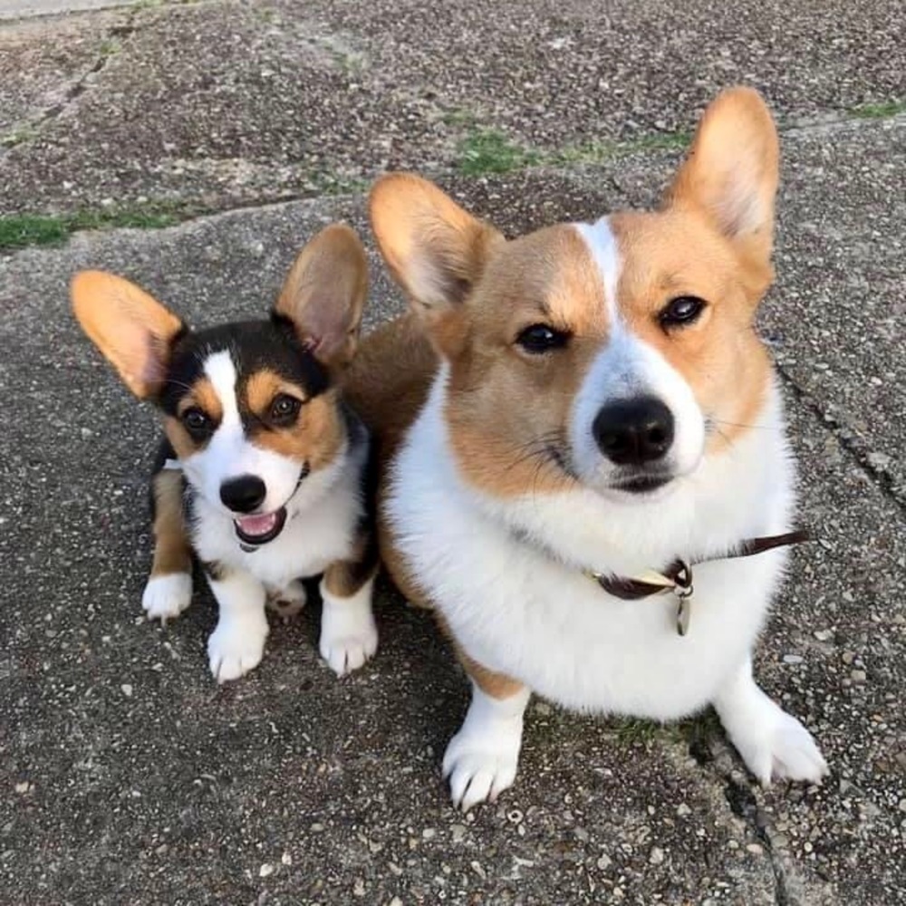 Meet your Posher, Andy